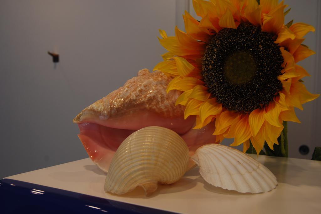 Residence Abruzzo Resort Tortoreto Екстериор снимка
